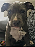 Personalised Engraved Name Tag for pet